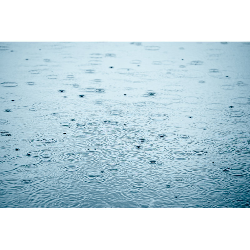 Rainy Weather - Photographie sur toile tendue, H 8 po x l 12 po