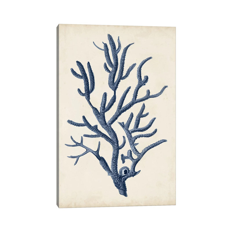 Indigo Coral IV by Vision Studio - Wrapped Canvas Print, 152.5 cm H x 101.5 cm W