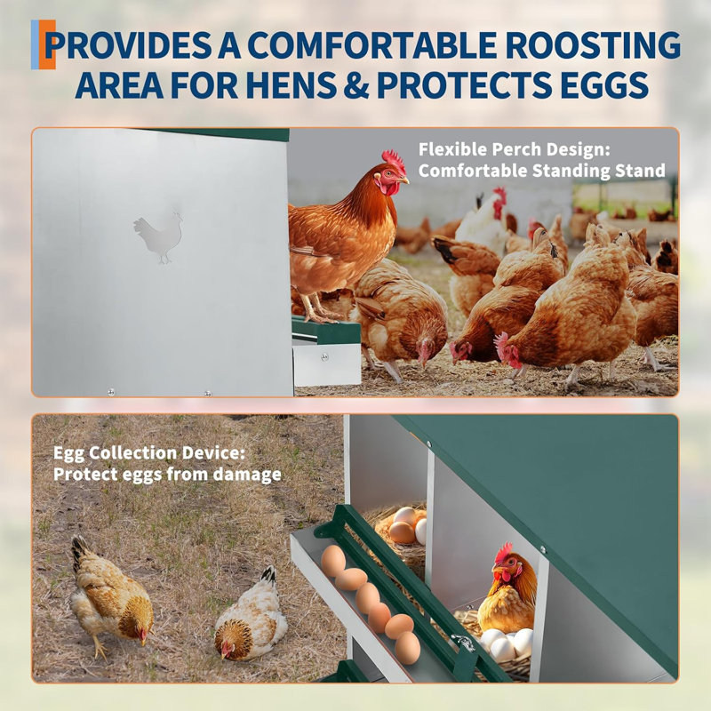 Boîtes gigognes à 8 compartiments, boîtes à œufs pour poules, boîtes à poules pour recueillir les œufs, Vert