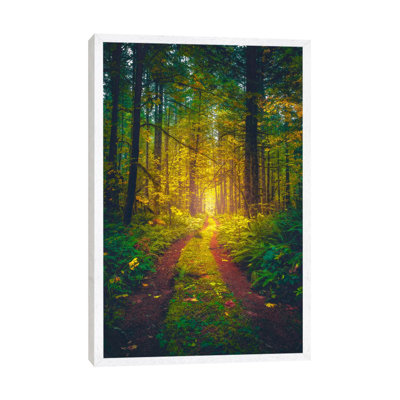 The Forest Of Dreams by Zach Doehler - Print on Canvas