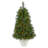 4.17' H Lighted Artificial Pine Christmas Tree