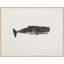 Ocean Creatures 7 Print by Kim Kimbro-396633423