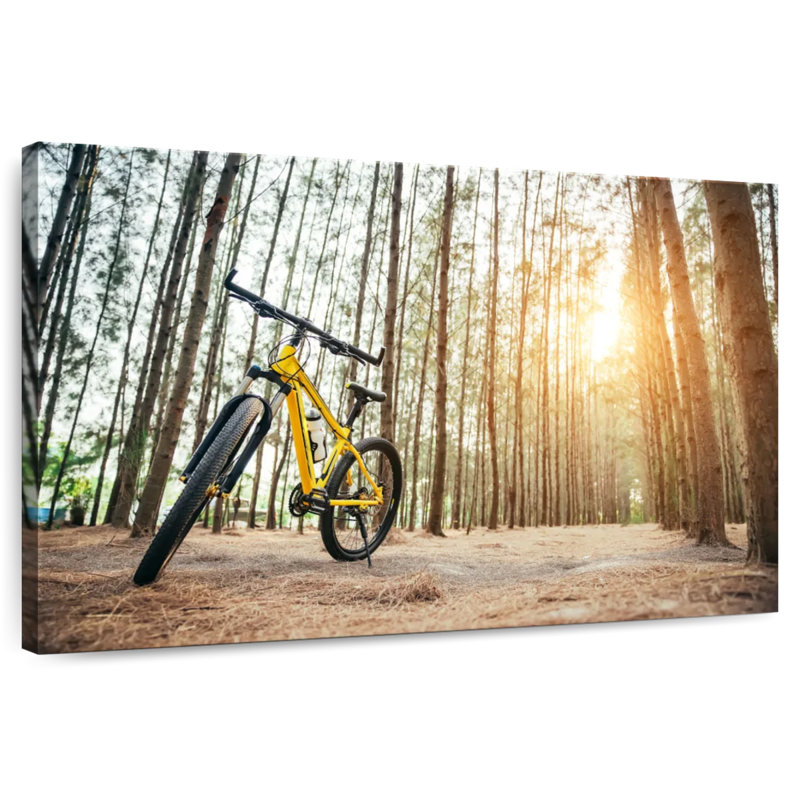 Vélo de montagne Mehar, H 20 po x l 30 po