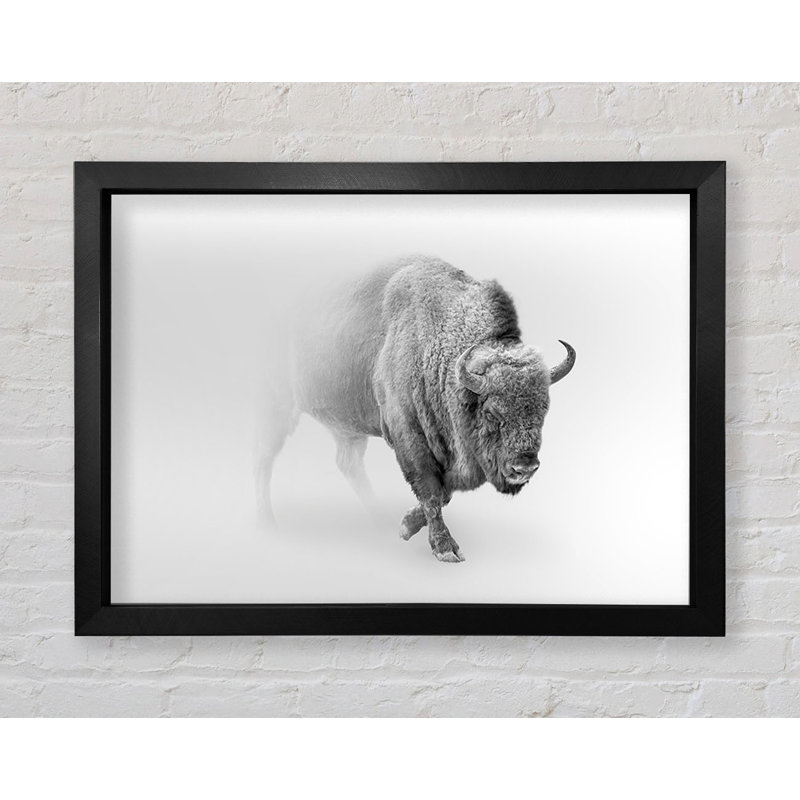 Bison In The Mist - Single Picture Frame Print, 59.7cm H x 84.1cm W x 3.4cm D, Black Framed Paper