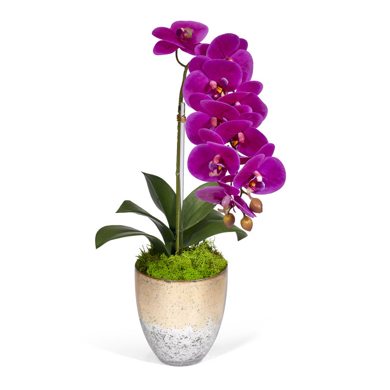 Fuchsia Faux Silk Orchid in Champagne Gold Glass Vase