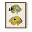 «Yellow & Gray Fish III», reproduction encadrée - bois massif-537136666-537136645