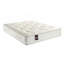 Aspire Pocket Sprung Mattress-126511470