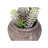 Artificial Plant