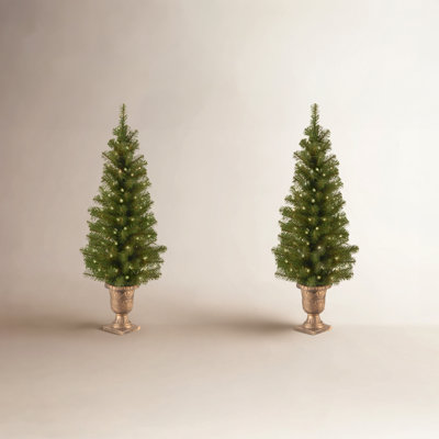 4' Pre-Lit Pine Christmas Tree