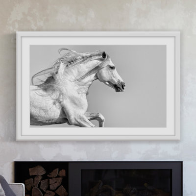 «White Mane», reproduction encadrée