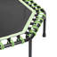 Crystina Freeport Park ft Octagon Backyard Trampoline-751582562