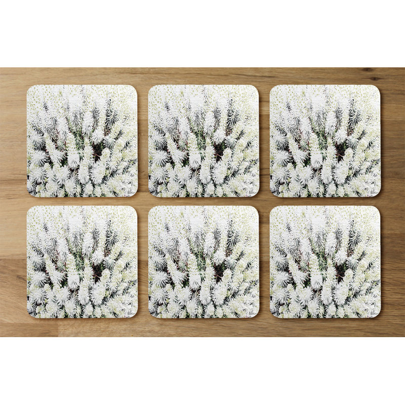 Square 6 Piece Coaster Set