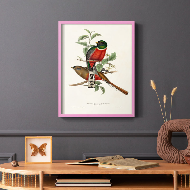 «Elegant Trogons I», reproduction encadrée - bois massif, Cadre photo rose simple, H 10 po x l 8 po