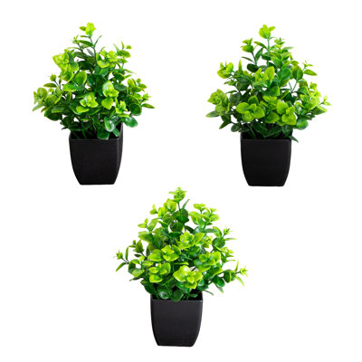 8 po Plante artificielle buis à feuilles persistantes en pot carré noir - ensemble de 3