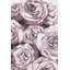 Wrapped Canvas Painting-34311782-70710081