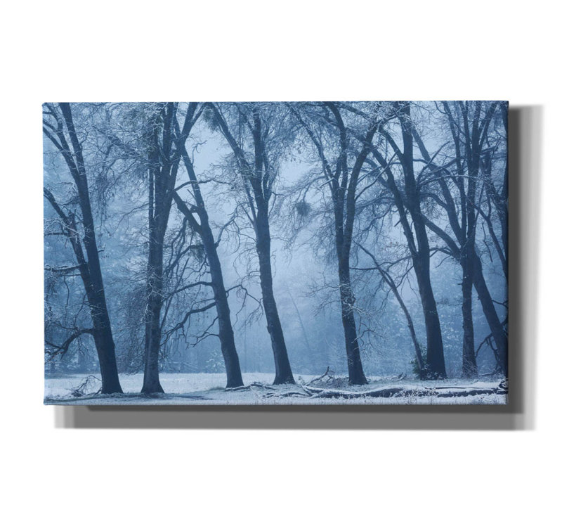 «Magical Morning» par Brandon Wong, art mural sur toile, H 26 po x l 40 po x P 1,5 po