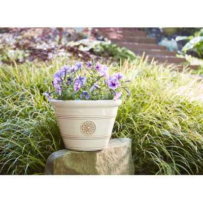15.25" Modesto Resin Planter
