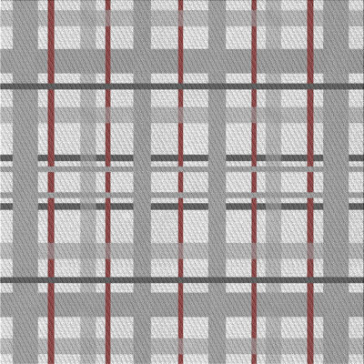 Indoor Rug