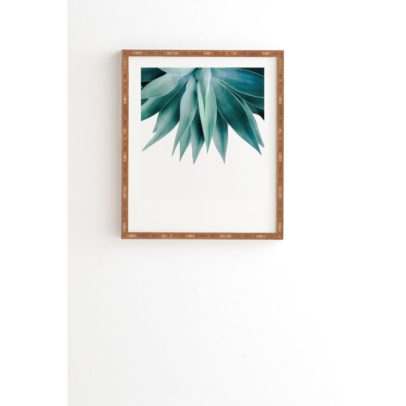 « agave frange », impression, H 20 po x l 20 po x P 2 po, Armature en bambou, Pas de tapis