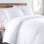 Ensemble de literie Southshore Basics de Southshore Fine Linens, vert sauge, en microfibre doublement brossée avec fermeture éclair dissimulée et attaches aux coins, 2 taies d'oreiller, grand lit/queen