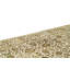 Chantel Oriental Area Rug in Ivory