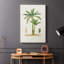 Arbre antique avec fruit III - galerie Cavas-672257328
