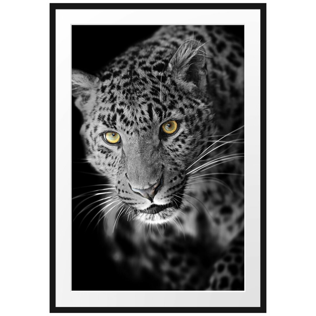 Gerahmtes Poster Prächtig anmutiger Leopard