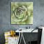 "Epic Graffiti" Garden Succulents 2 Color "par Laura Marshall, art mural sur toile-1127904859