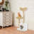 Cat Scratching Posts& Nest