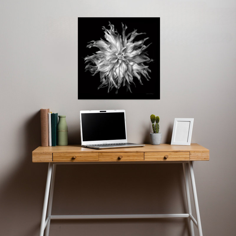 Dahlia VI Bw Contemporary Dahlia Flower Art, 18" H x 18" W