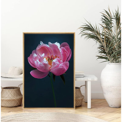 "IDÉE4WALL", reproduction d'art sur toile encadrée, fleur rose vif sur fond noir, art numérique botanique, réalisme, glamour, gros plan, coloré pour salon, chambre à coucher, bureau, impression sur toile
