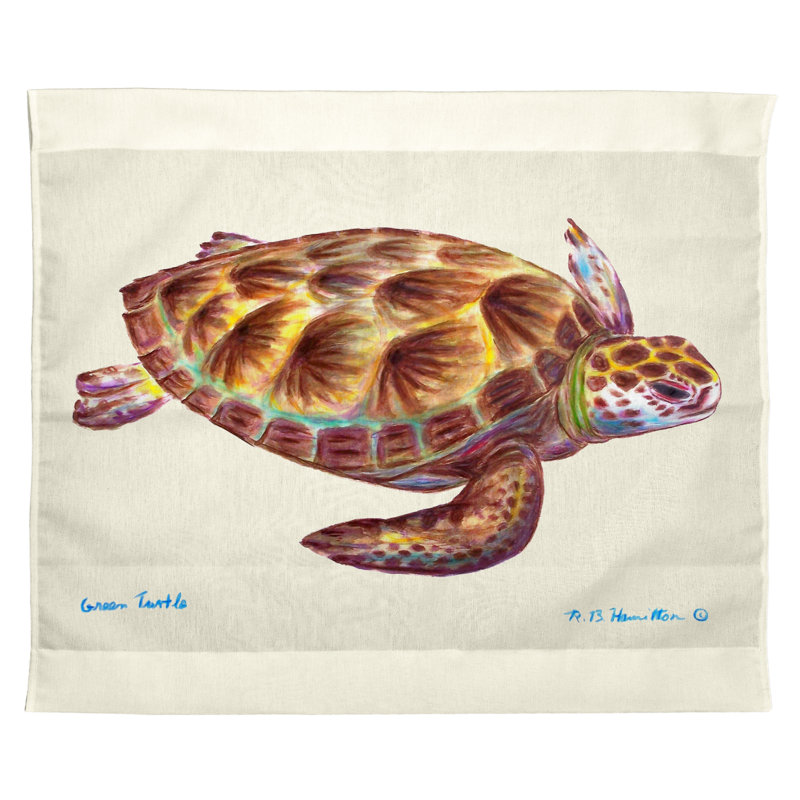 « green sea turtle », reproduction d’art