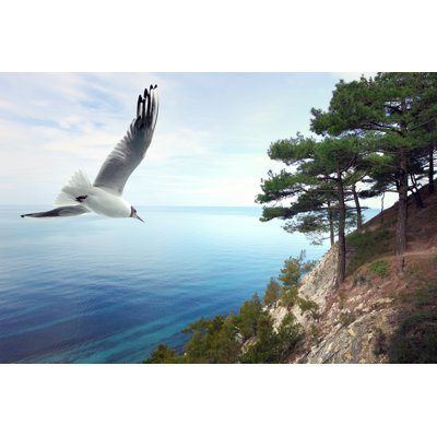 Seascape