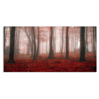 Foggy Morning Red Forest II " Foggy Morning Red Forest II "