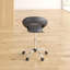 Kurt Backed Adjustable Height Lab Stool-16638495