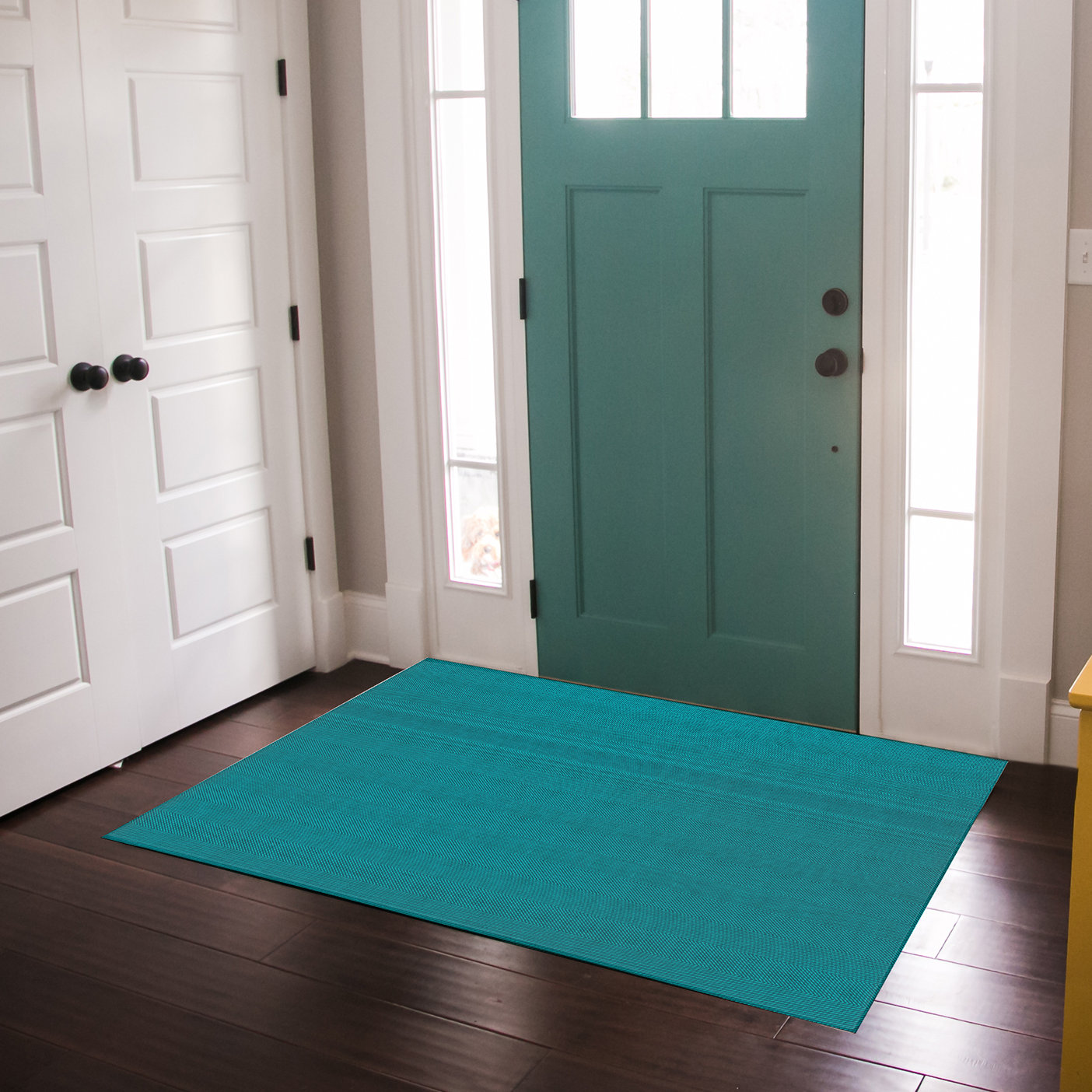 Latitude Run® Alesi Indoor Door Mat Wayfair