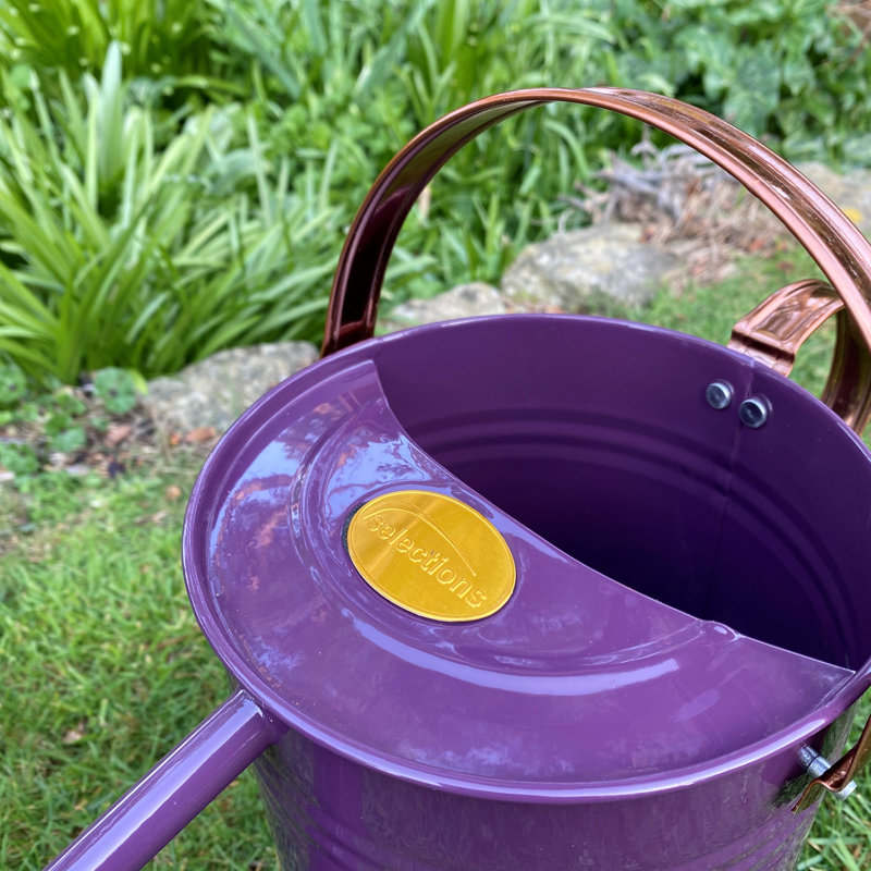 Metal Watering Can, Purple