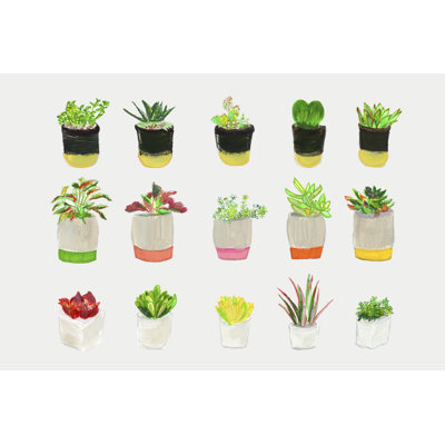 Quinze plantes grasses sur toile par Cartissi