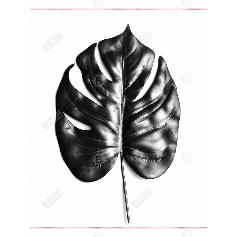 Split Leaf Philodendron with Rose Line - Framed Canvas Decor