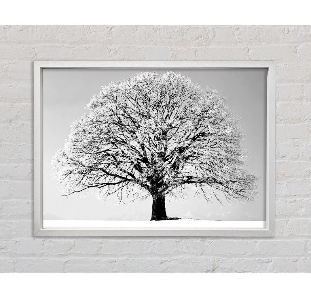 Winter Tree B N W - Einzelner Bilderrahmen Kunstdrucke auf Leinwand