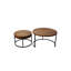 Emma 2 Piece Coffee Table Set