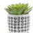 S/2 5/6" AZTEC PLANTER W/ SAUCER, BLACK