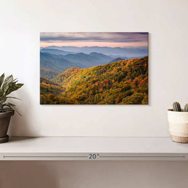 Forêt du parc national du Tennessee, H 8 po x l 12 po
