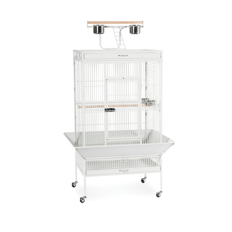 Cage à oiseau avec roues, support, perchoir, plateau Lucile, Blanc craie, Moyen (H 65 po x l 22 po x P 24 po)