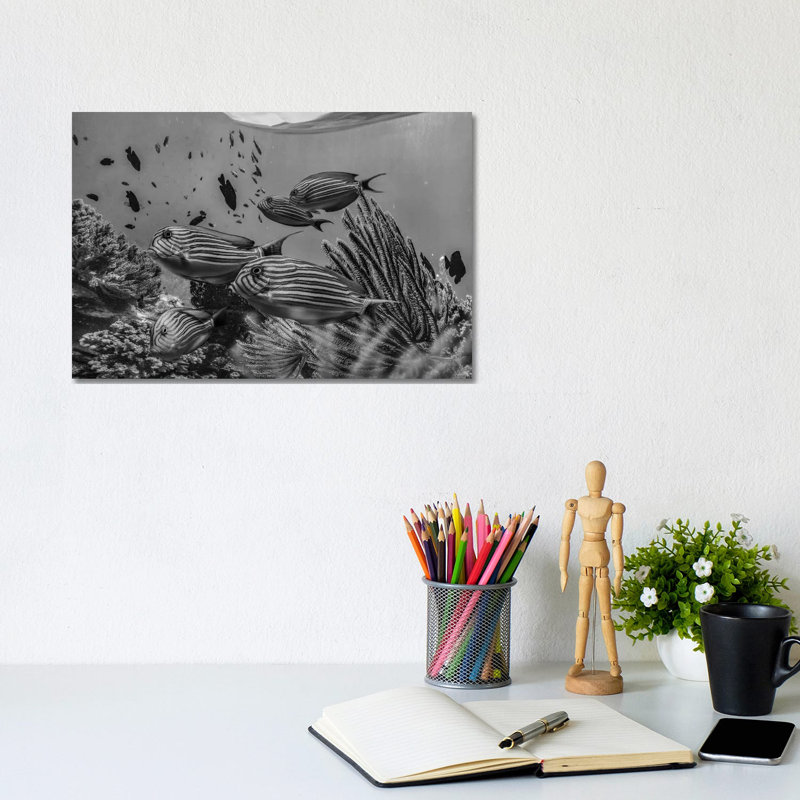 Angelfish Group And Soft Coral, Bohol Island, Philippines by Tim Fitzharris - Gallery-Wrapped Canvas Giclée on Canvas