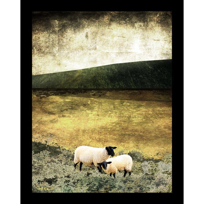 Deux moutons dans un pré