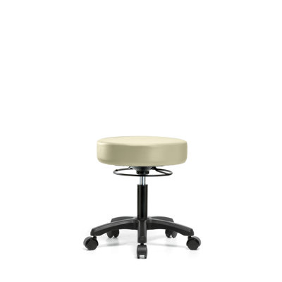Wilder Adjustable Height Ergonomic Lab Stool Footring