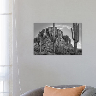 Saguaros and Superstition Mountains, Lost Dutchman State Park, Arizona 1 Piece Wrapped Canvas Wall Art