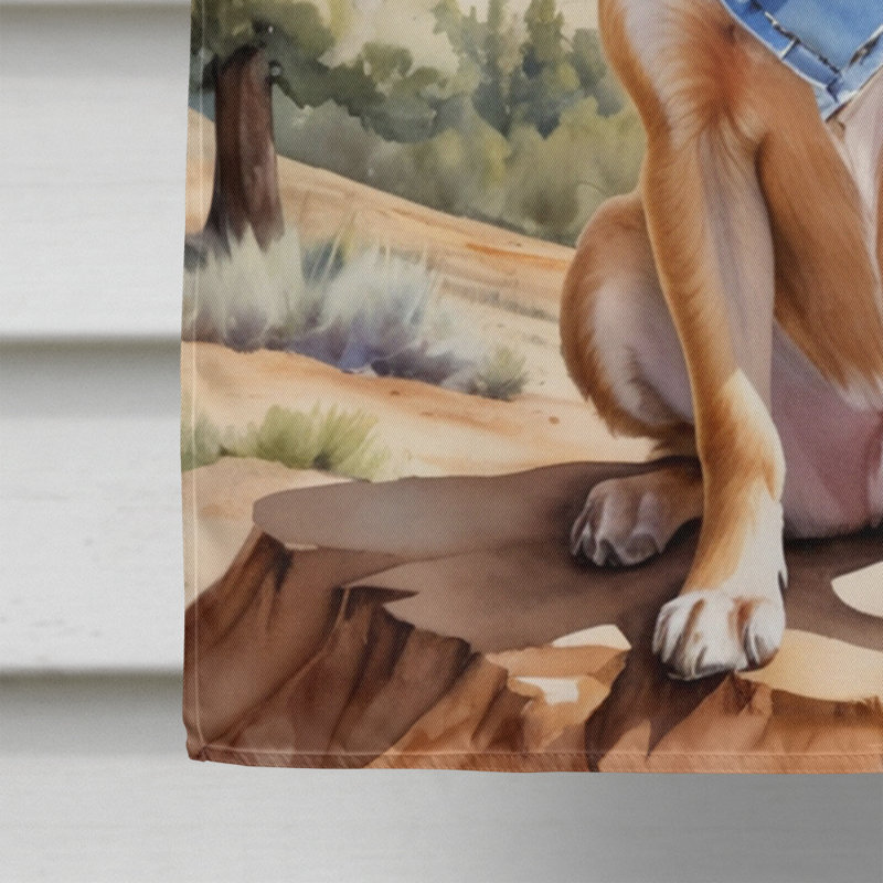 Drapeau Cowboy Welcome House, Chihuahua