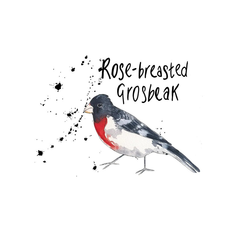 Rose-Breasted Grosbeak 1 Piece Wrapped Canvas Painting, 152.5 cm H x 101.5 cm W